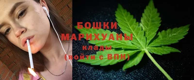 наркота  Гусев  Марихуана LSD WEED 